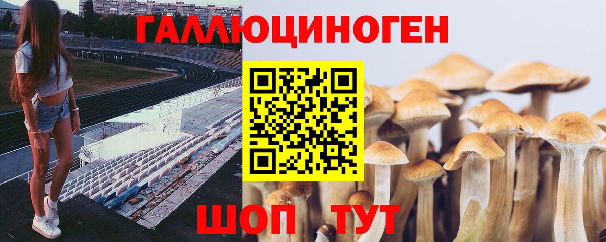 Галлюциногенные грибы прущие грибы Чехов